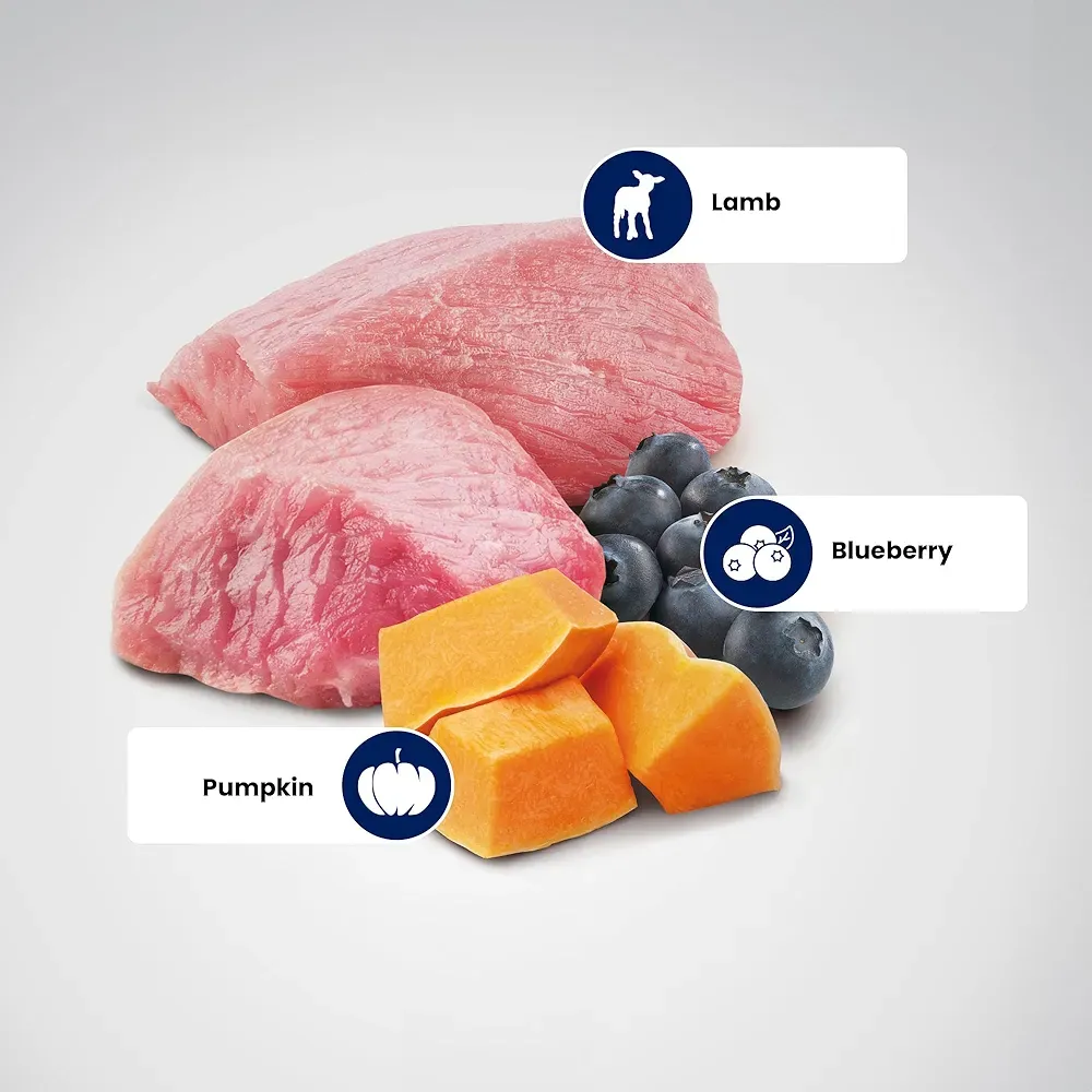 Farmina-nd-pumpkin-adult-medium-maxi-dog-food-lamb-blueberry-pumpkin - Image 4