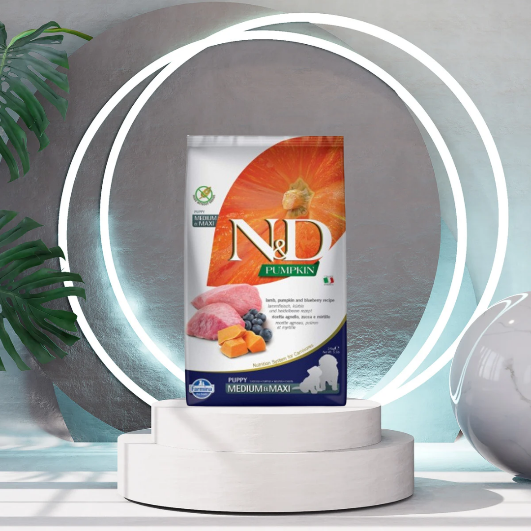 Farmina-nd-pumpkin-adult-medium-maxi-dog-food-lamb-blueberry-pumpkin - Image 1